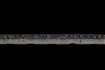 Flotex Colour Penang 50*50 t 382037 Penang Grey фото 4 | FLOORDEALER