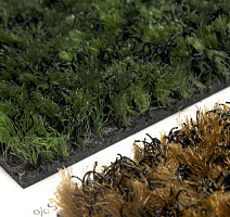 Forbo Coral Brush 5708 Avocado Green фото 4 | FLOORDEALER