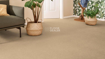 Vorwerk Superior 1071 Vorwerk 8k28 фото 2 | FLOORDEALER