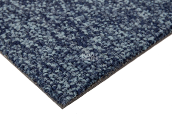 Standard Carpets Spectrum sm 555 фото 5 | FLOORDEALER