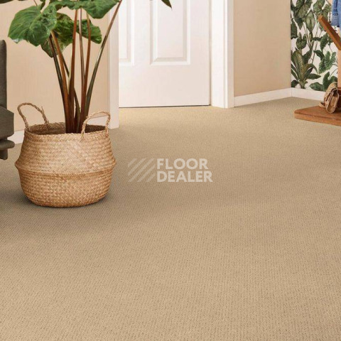 Vorwerk Superior 1071 Vorwerk 8k28 фото 2 | FLOORDEALER