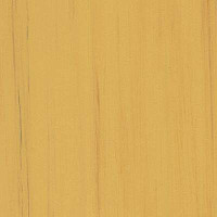 Линолеум Lino Fatra DUAL 853 фото 1 | FLOORDEALER