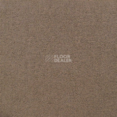 Ковролин Sintelon Eden 10530 фото 1 | FLOORDEALER