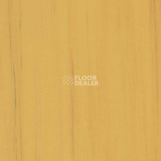 Линолеум Lino Fatra DUAL 853 фото 1 | FLOORDEALER