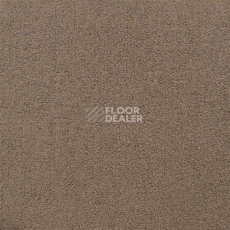 Ковролин Sintelon Eden 10530 фото 1 | FLOORDEALER