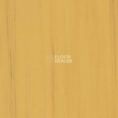 Линолеум Lino Fatra DUAL 853 фото 1 | FLOORDEALER