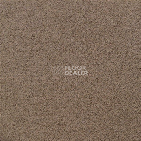 Ковролин Sintelon Eden 10530 фото 1 | FLOORDEALER