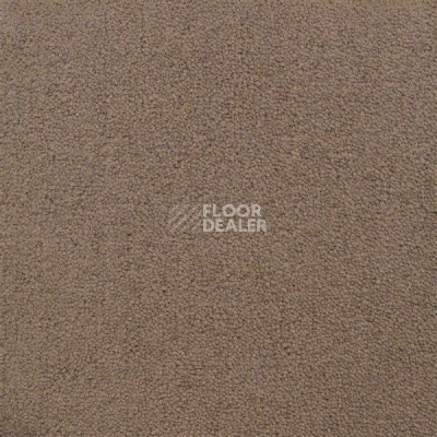 Ковролин Sintelon Eden 10530 фото 1 | FLOORDEALER