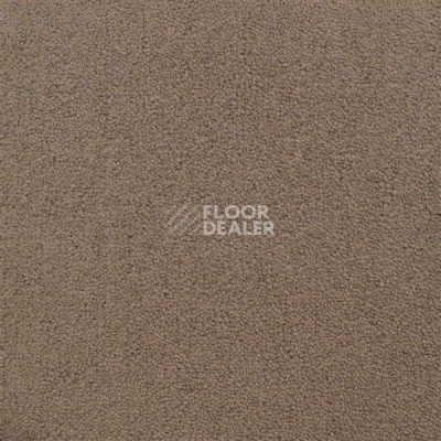 Ковролин Sintelon Eden 10530 фото 1 | FLOORDEALER
