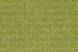 Ковролин Balta ITC Splendid 23 фото  | FLOORDEALER