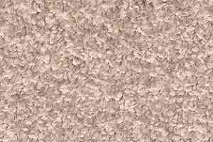 Ковролин AW Gaia Meridia 35 фото  | FLOORDEALER