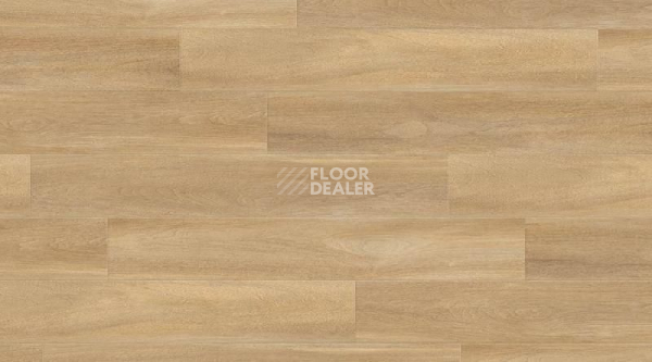 Кварцвиниловые полы Creation 55 0851_Bostonian_Oak_Honey фото 1 | FLOORDEALER