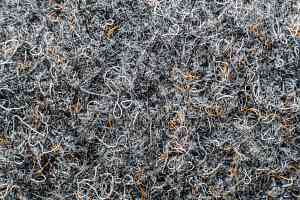 Ковровая плитка Forte в плитке 96012 t Nickel фото  | FLOORDEALER