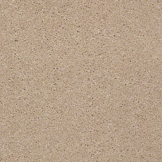 Ковролин Shaw Design Texture Platinum 720 фото 1 | FLOORDEALER