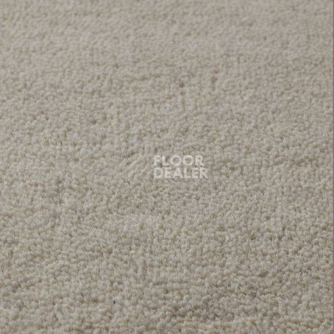 Ковролин Jacaranda Carpets Sambar Silver фото 1 | FLOORDEALER