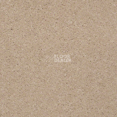 Ковролин Shaw Design Texture Platinum 720 фото 1 | FLOORDEALER
