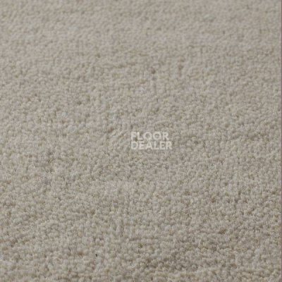 Ковролин Jacaranda Carpets Sambar Silver фото 1 | FLOORDEALER