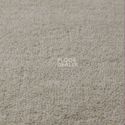 Ковролин Jacaranda Carpets Sambar Silver фото 1 | FLOORDEALER
