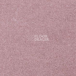 Ковролин AW The Velvet Oinone 67 фото 1 | FLOORDEALER
