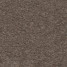 Ковролин AW Magnificus 39 фото 1 | FLOORDEALER