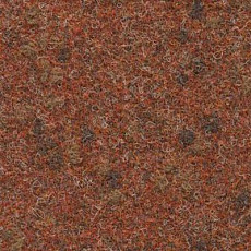 Ковролин Finett Vision Focus 405532 фото 1 | FLOORDEALER