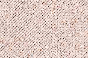 Ковролин Balta Pula 610 фото  | FLOORDEALER