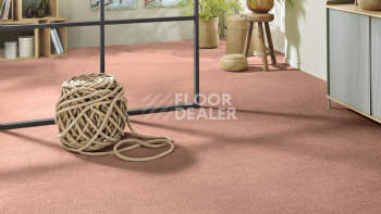 Vorwerk Superior 1065/Viola Vorwerk 1n46 фото 2 | FLOORDEALER