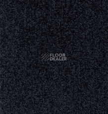 Ковролин Betap Transmit 590 фото 1 | FLOORDEALER