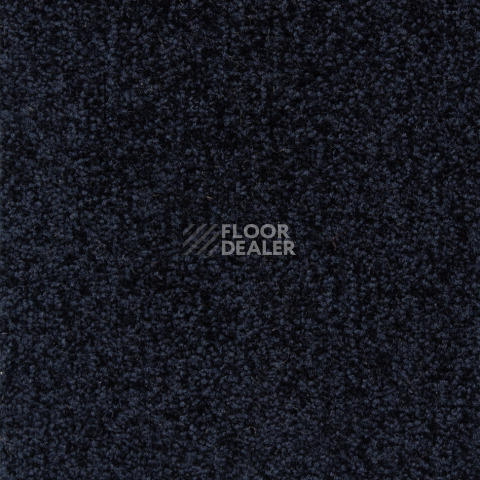 Ковролин Betap Transmit 590 фото 1 | FLOORDEALER