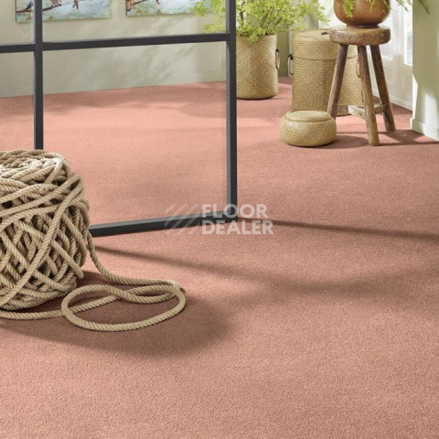 Vorwerk Superior 1065/Viola Vorwerk 1n46 фото 2 | FLOORDEALER