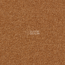 Ковролин Associated Weavers Maxima 85 фото 1 | FLOORDEALER
