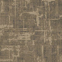 Ковролин Big Carus Sunrise 013-24335 фото 1 | FLOORDEALER