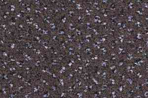 Ковролин Balsan Signature Confort + 790 фото  | FLOORDEALER