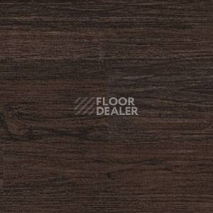 Линолеум Polyflor Expona Wood 6190 фото 1 | FLOORDEALER