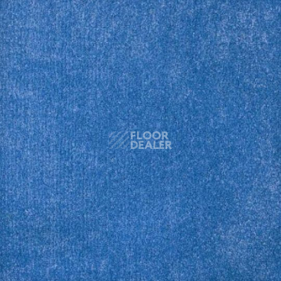 Ковролин Sintelon Festa 44735 фото 1 | FLOORDEALER