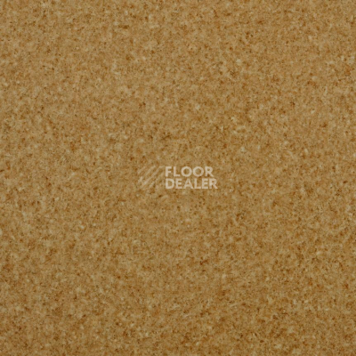 Линолеум Lg Trendy TD12507 фото 1 | FLOORDEALER