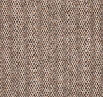 Ковролин AW Berber Point 650 Crushed Shell фото 1 | FLOORDEALER