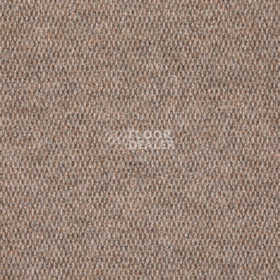Ковролин AW Berber Point 650 Crushed Shell фото 1 | FLOORDEALER