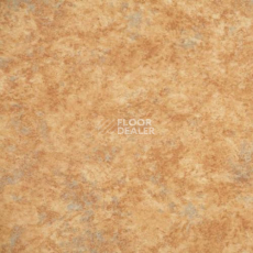 Линолеум Novoflor Extra Amos 3100-61 фото 1 | FLOORDEALER