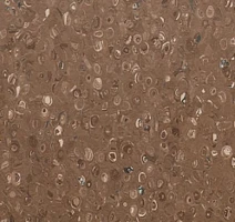 Линолеум Apoluza Tangyun 1007 фото 1 | FLOORDEALER