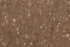 Линолеум Apoluza Tangyun 1007 фото  | FLOORDEALER