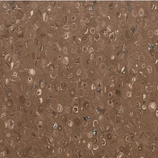 Линолеум Apoluza Tangyun 1007 фото 1 | FLOORDEALER