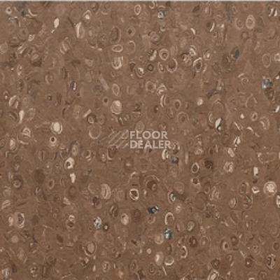 Линолеум Apoluza Tangyun 1007 фото 1 | FLOORDEALER