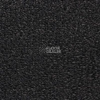 Ковролин Edel Tamino 189 фото 1 | FLOORDEALER