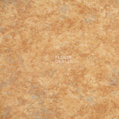 Линолеум Novoflor Extra Amos 3100-61 фото 1 | FLOORDEALER