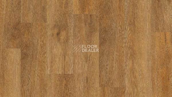 Кварцвиниловые полы Tarkett Rockstars JIMI фото 1 | FLOORDEALER