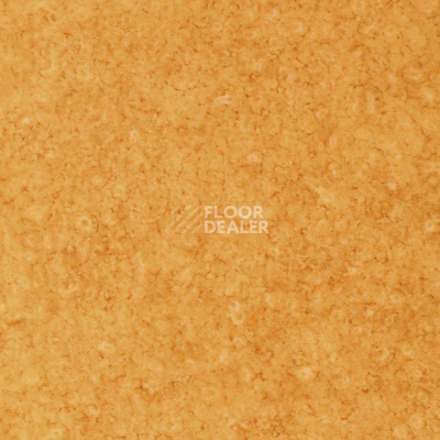 Линолеум Grabo Acoustic 7 Colour 383_664_275 фото 1 | FLOORDEALER