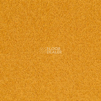 Ковровая плитка Desso Palatino 6016 фото 1 | FLOORDEALER