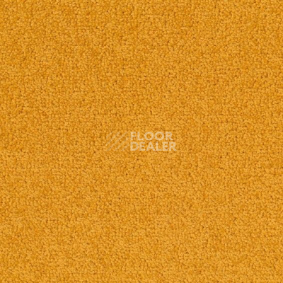 Ковровая плитка Desso Palatino 6016 фото 1 | FLOORDEALER