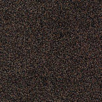 Ковролин Desso Torso B 2921 фото 1 | FLOORDEALER